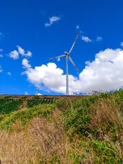 Fototapeta premium wind turbine in the field