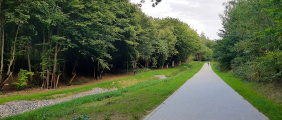 promenade in the forest