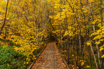 Fototapeta na wymiar Cloudly day of autumn in Quebec city