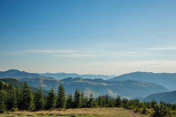 Morning sunny day is in mountain landscape. Carpathian, Ukraine, Europe. Beauty world. Large resolution