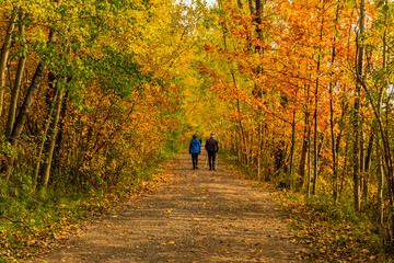 Cloudly day of autumn in Quebec city