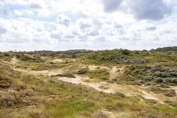 Landscape with dunes under a clouded sky, national park Meijendel