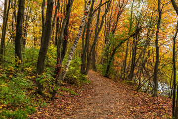 Obraz premium Cloudly day of autumn in Quebec city
