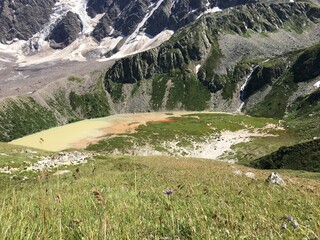 Fototapeta na wymiar alpine meadow