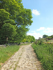 Fototapeta na wymiar perspective view of a narrow cobblestone country lane surrounded by stone walls grass and trees in west yorkshire countryside with grass covered meadows and a sunlit blue sky
