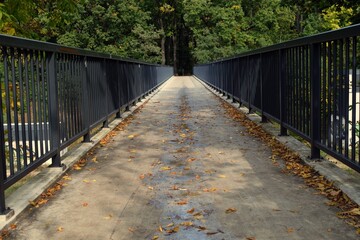 Pedestrian crossing with metal railing leading to the park.