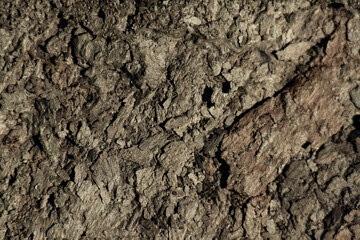 Gray dark rough surface stone texture. Solid concept. Abstract natural pattern for design. Textured background for interior decoration or packaging.