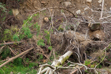 大雨による崖崩れ