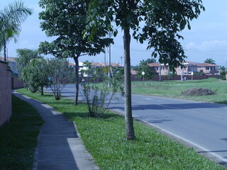 street in the city