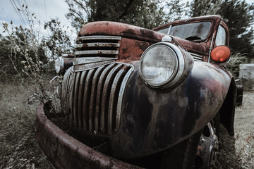 Old Chevy Truck 5 - obrazy, fototapety, plakaty