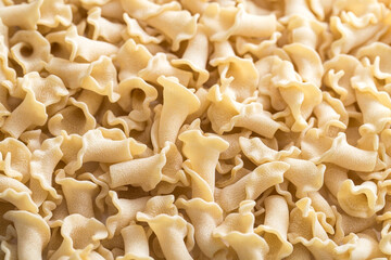 Raw bell-shaped Italian pasta, rough frosted macaroni for cooking close-up texture