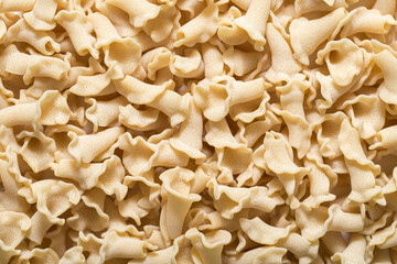 Uncooked bell-shaped Italian macaroni, rough frosted macaroni for cooking close-up