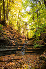 The waterfalls at Thayer Preserve Lick Brook flow at a trickle during an autumn afternoon. Fall foliage can be seen from within the gorge. 