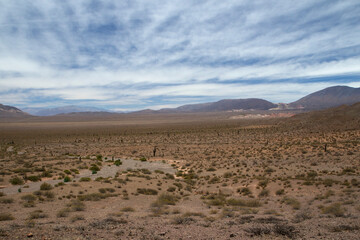 Desert landscape. View of the arid land, valley, vegetation and mountains in the horizon.	
