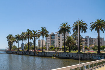 Obraz premium Vina Del Mar, Chile - December 8, 2008: Landscape of North Shore of the estuary with luxury tall buildings and row of mature palm trees under blue sky.