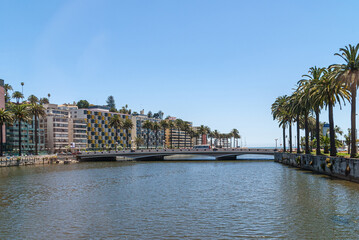 Obraz premium Vina Del Mar, Chile - December 8, 2008: Landscape of South Shore of the estuary with luxury tall buildings and row of mature palm trees under blue sky. Bridge with bus.