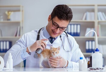 Cat visiting vet for regular checkup