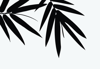 Bamboo leaf composition in design. Vector romantic landscape with bamboo trees on a white and gray background, and various attractive colors make an exclusive design