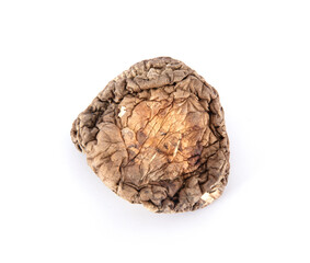 One dried mushroom on white background