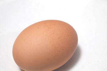 鶏卵
