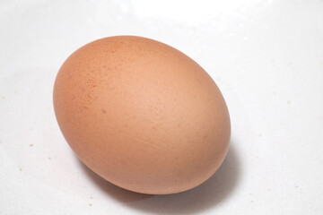鶏卵