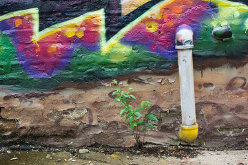 Spray paint design in an alley in Wicker Park neighborhood of Chicago