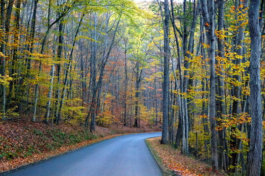 An empty road overlooking the striking colors of fall foliage near Colton Point State Park, Wellsboro, Pennsylvania, U.S