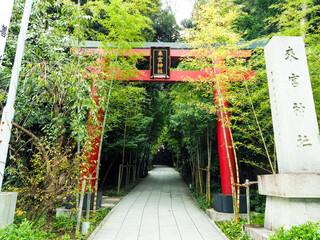 来宮神社　熱海　熱海市　神社　狛犬　鳥居