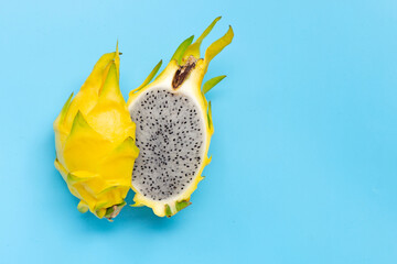Yellow pitahaya or dragon fruit on blue background