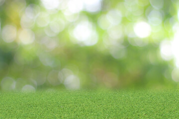 Natural green background It is a lawn with a blurred green background. Bokeh can be used as a background.