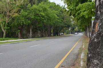 road in the park