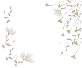 Obraz na płótnie Canvas 野花の白い花と緑の静かなフレーム