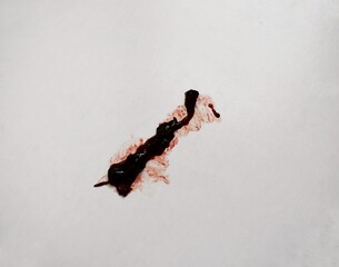 Blood clot