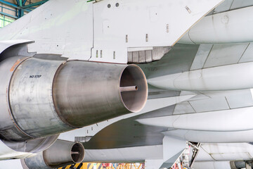 Wing and turbine engine jet airliner.