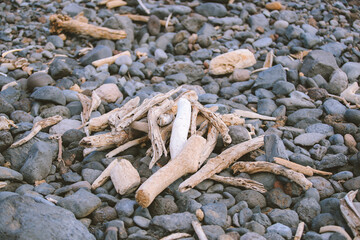 Wood on the beach,Piilani hwy, Maui, Hawaii
