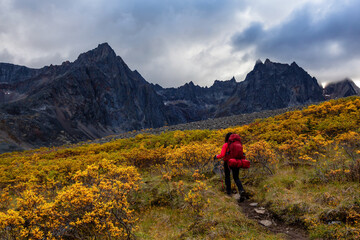 Fototapeta premium Girl Backpacking on Scenic Hiking Trail surrounded by Rugged Mountains during Fall in Canadian Nature. Taken in Tombstone Territorial Park, Yukon, Canada.
