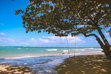Swing by the sea, Oahu, Hawaii