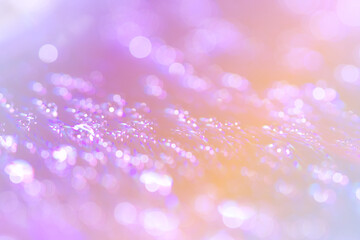 Abstract water drop bokeh on platter colorful fresh beautiful use as celebration festival concept...