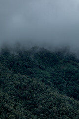 fog in the mountains