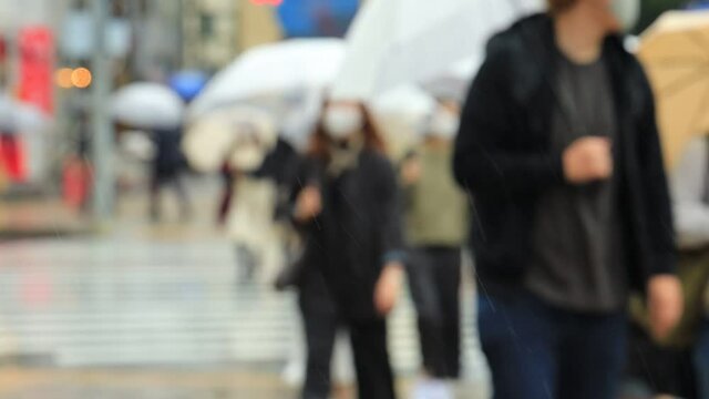 雨の東京　横断歩道　傘をさして歩く人々　アウトフォーカス