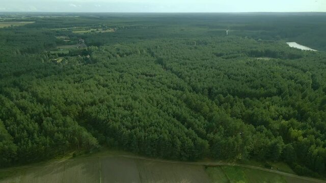 Dense green leafy deciduous forest and soil road trail towards Kowalskie Blota village, birds-eye view, Slow Aerial sliding to the side, ecological zone