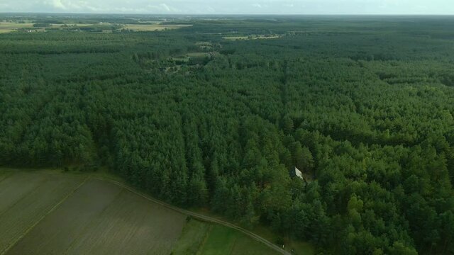 Dense green leafy deciduous forest of Kowalskie Blota village, birds eye view, Slow Aerial sliding to the side 