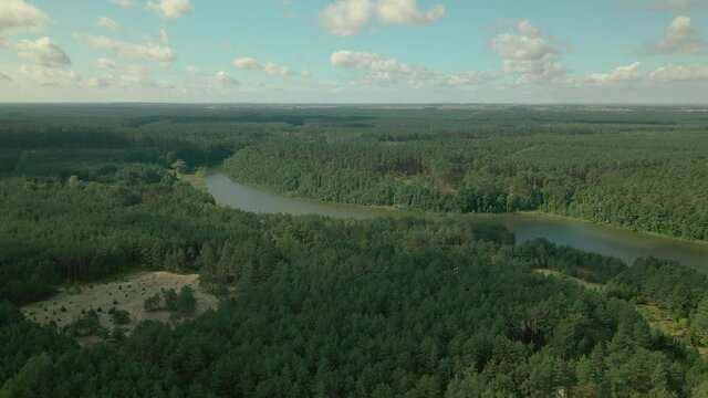 Slow Aerial fly over a dense green leafy deciduous forest of Kowalskie Blota village day time, north-central Poland, forward motion, drone shot, beautiful cloudscape Okierskie lake