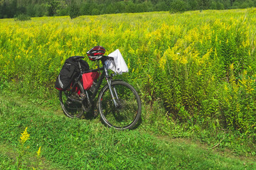 Fototapeta na wymiar a tourist bike stands alone on the background of green grass in a field