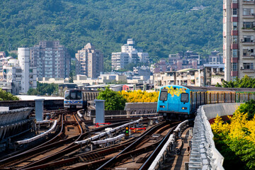 Fototapeta na wymiar A beautiful colorful flower painted on train on railway. Beitou Train Station, Taipei, Taiwan.