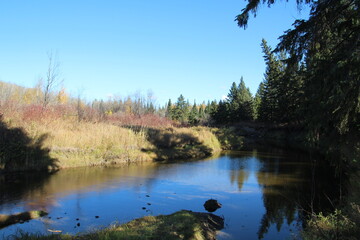 Calm Creek, Whitemud Park, Edmonton, Alberta