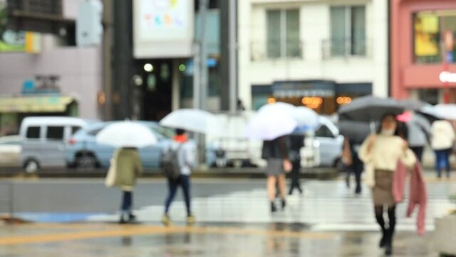 雨の日　東京　表参道　週末　傘をさして歩く人々　スローモーション撮影　ぼかし