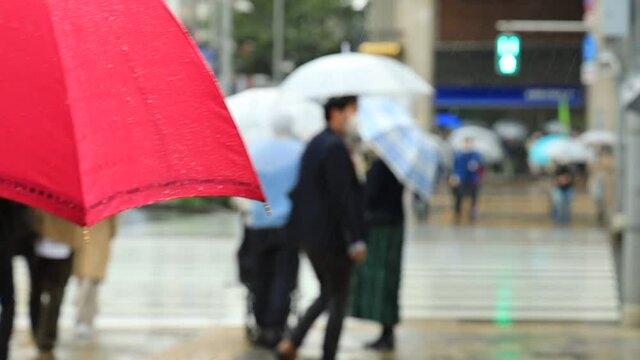 雨の日　東京　表参道　傘をさして横断歩道を歩く人々　スローモーション撮影　ぼかし