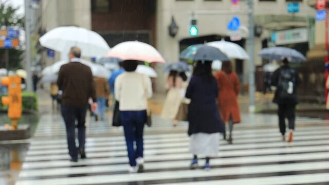 雨の東京　表参道　傘をさして横断歩道を歩く人々　スローモーション撮影　ぼかし