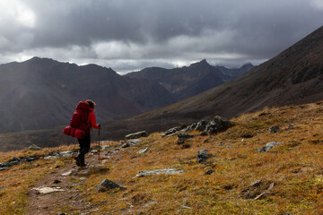 Fototapeta premium Woman Backpacking on Scenic Hiking Trail surrounded by Mountains during Fall in Canadian Nature. Taken in Tombstone Territorial Park, Yukon, Canada.
